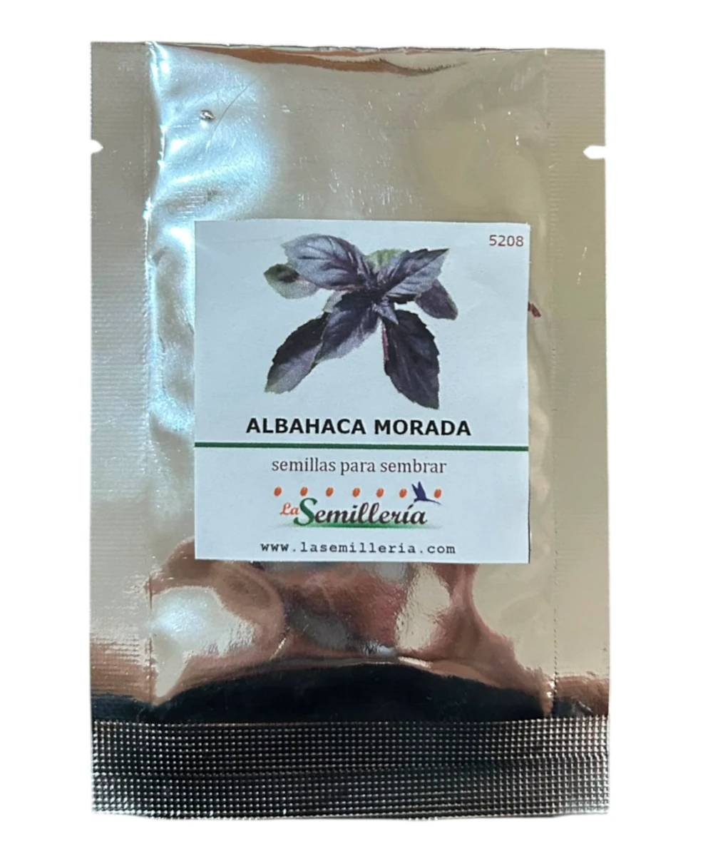 Foto de Albahaca Morada 10g