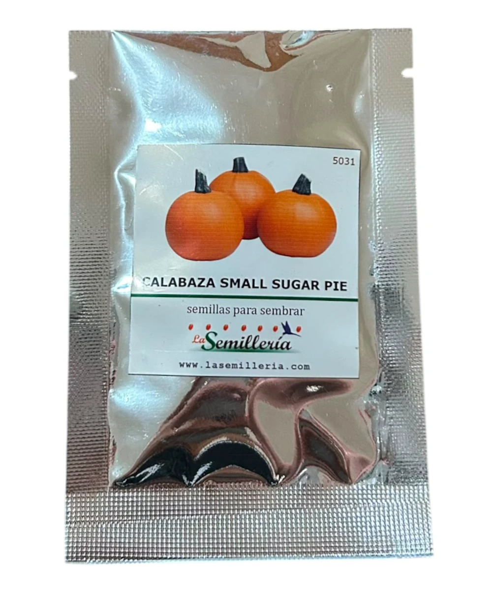 Foto de Calabaza Small Sugar Pie 10g