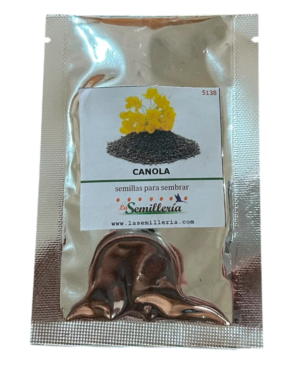 Foto de Semillas de Canola 10g