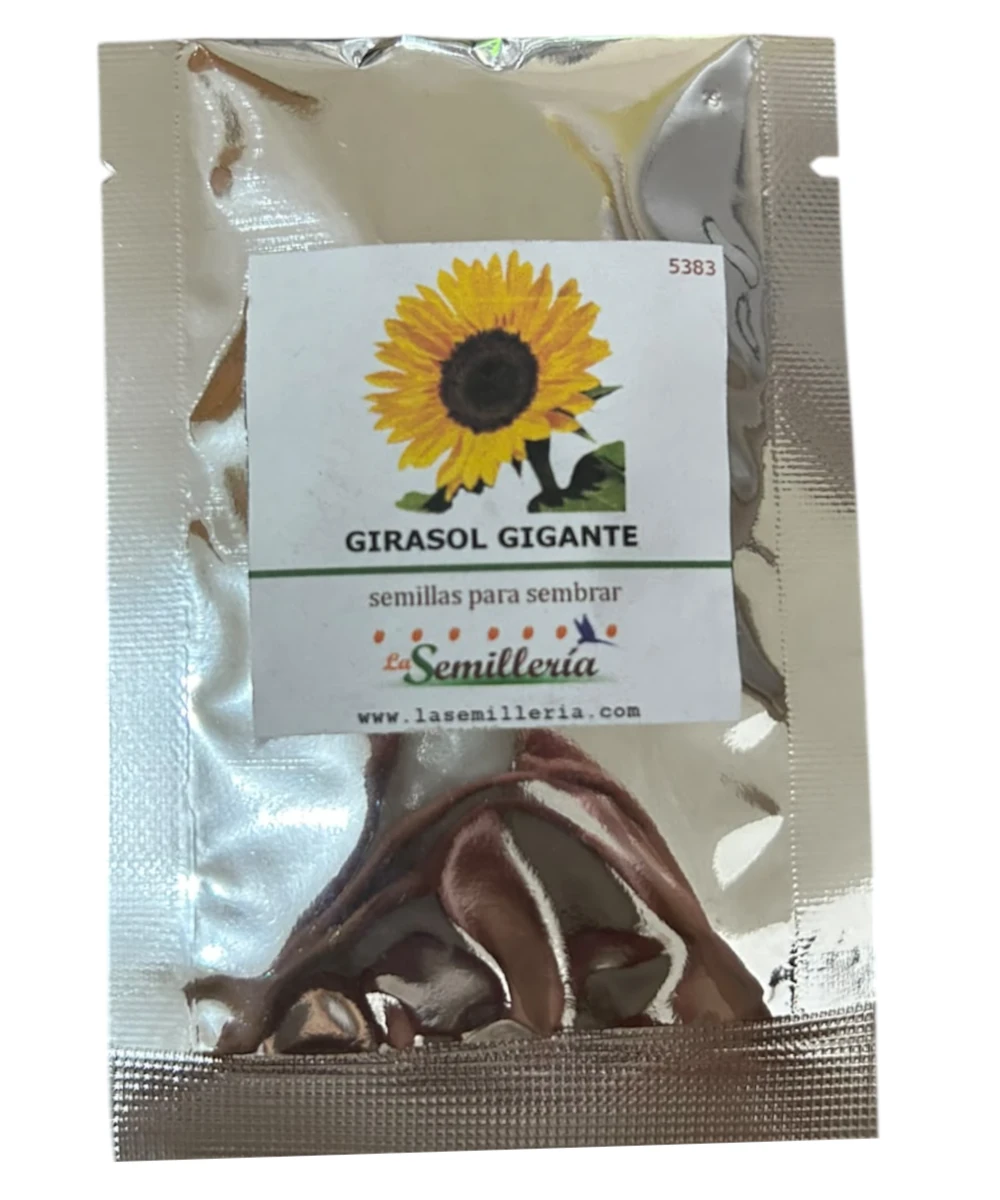 Foto de Girasol Gigante 10g