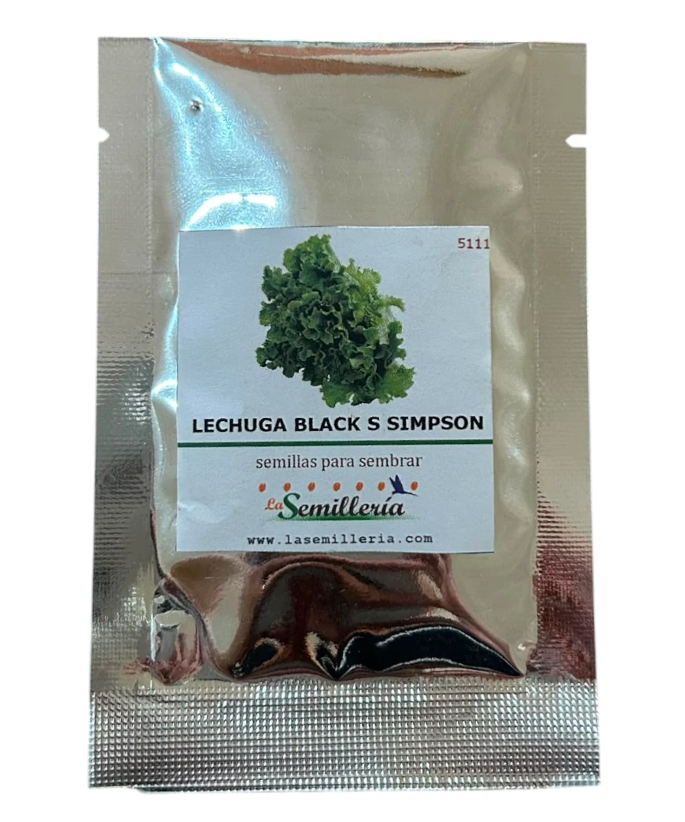 Foto de Lechuga Black S Simpson 10g