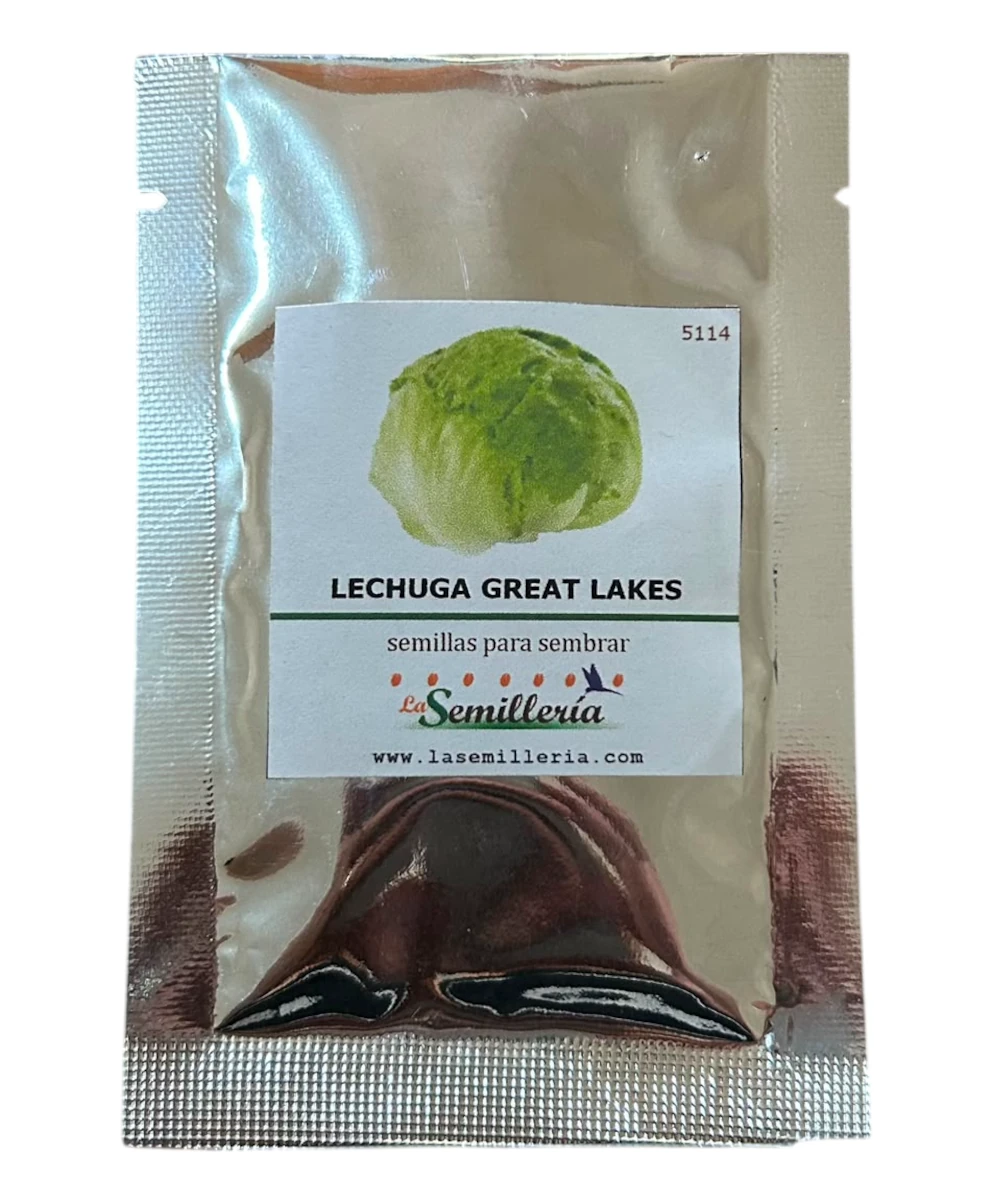 Foto de Lechuga Great Lakes  10g