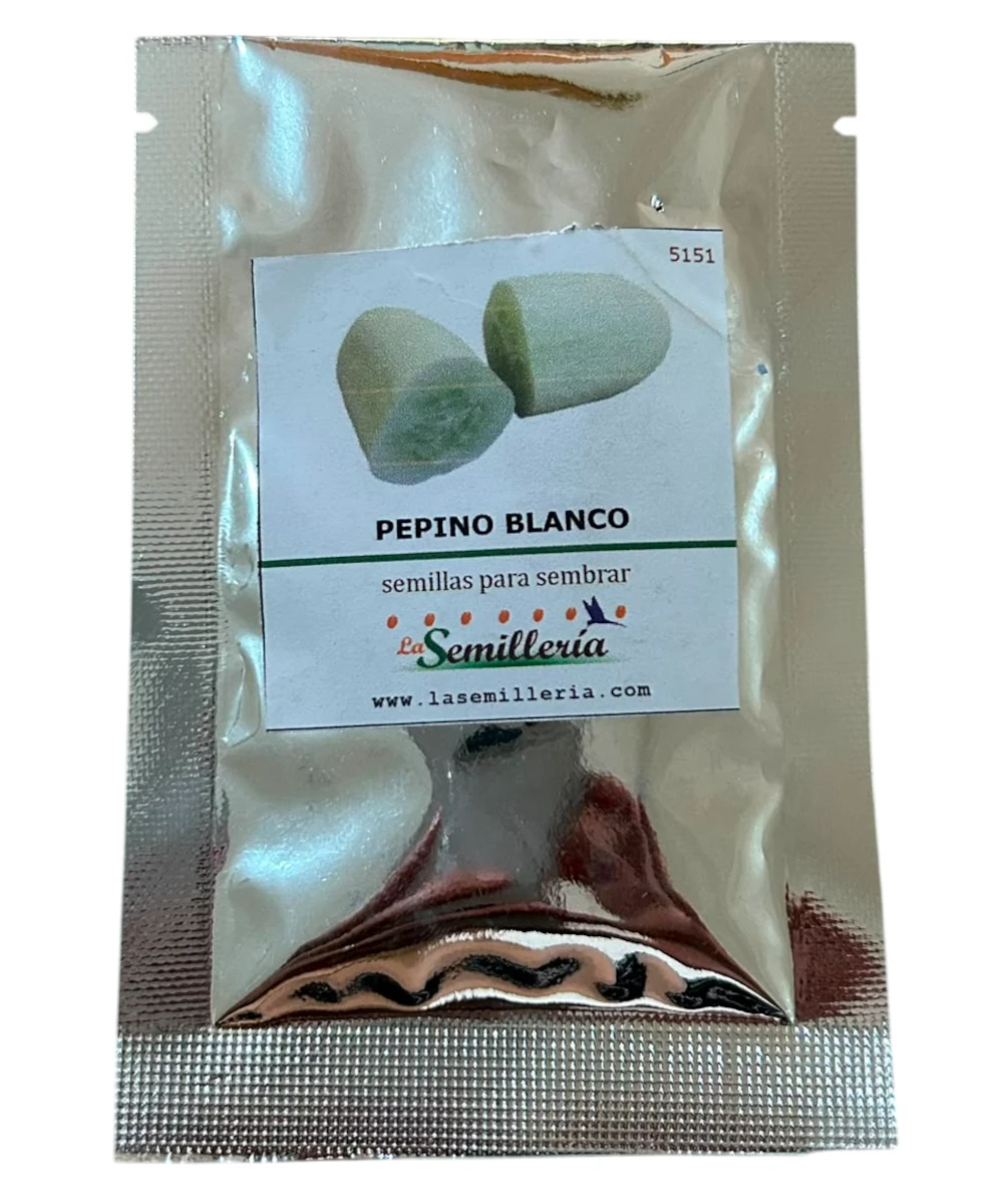 Foto de Pepino Blanco  10g