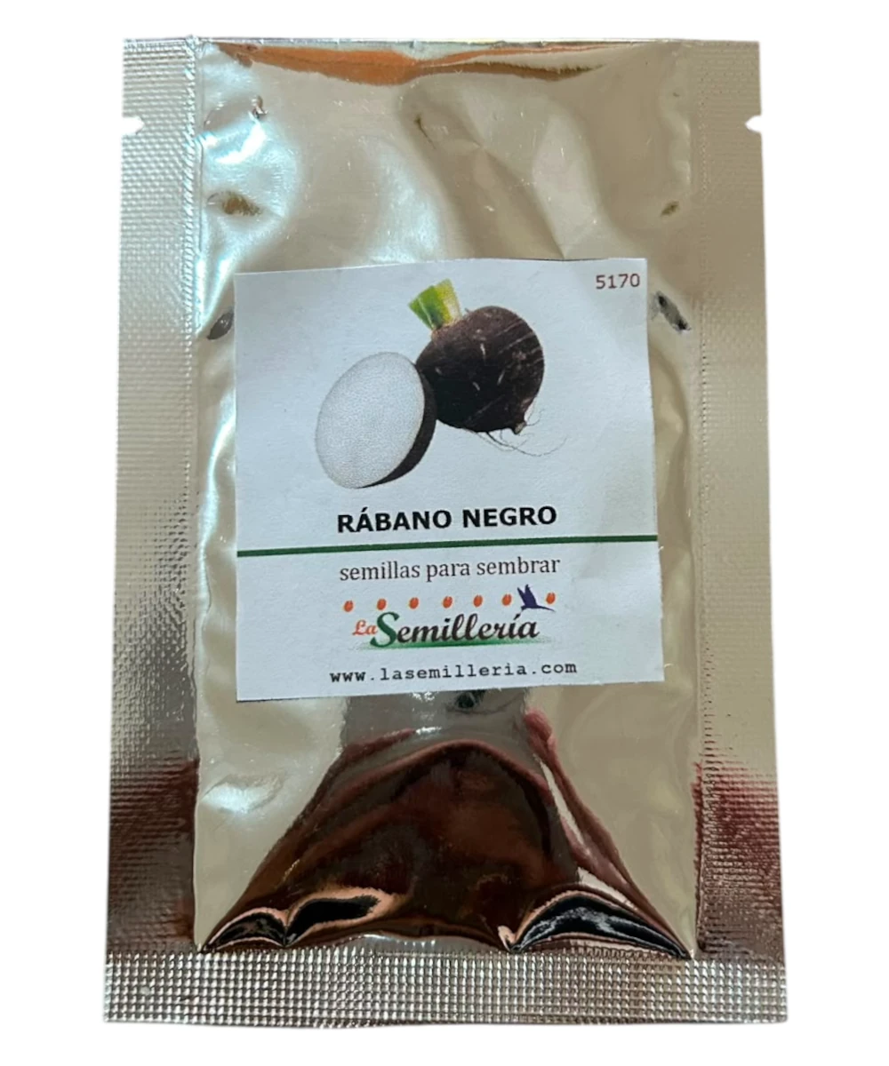Foto de Rábano Negro 10g