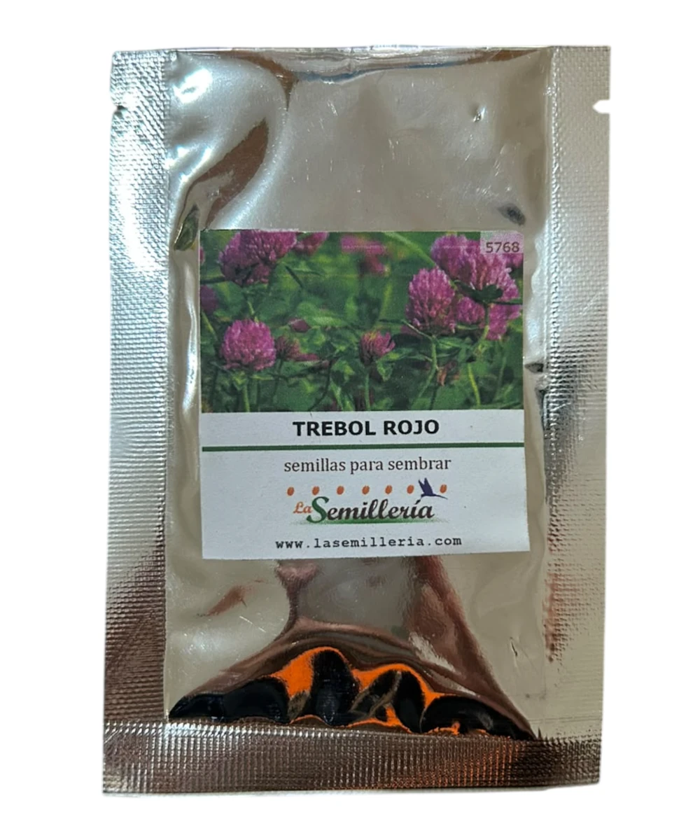 Foto de Semillas de Trebol Rojo 10g