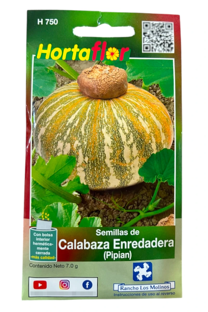 Foto de Semillas de Calabaza Pipian HORTAFLOR