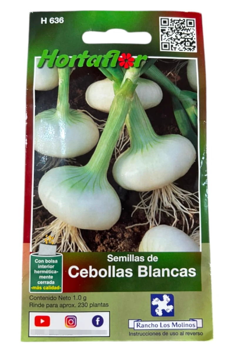 Foto de Semillas de Cebollas Blanca HORTAFLOR