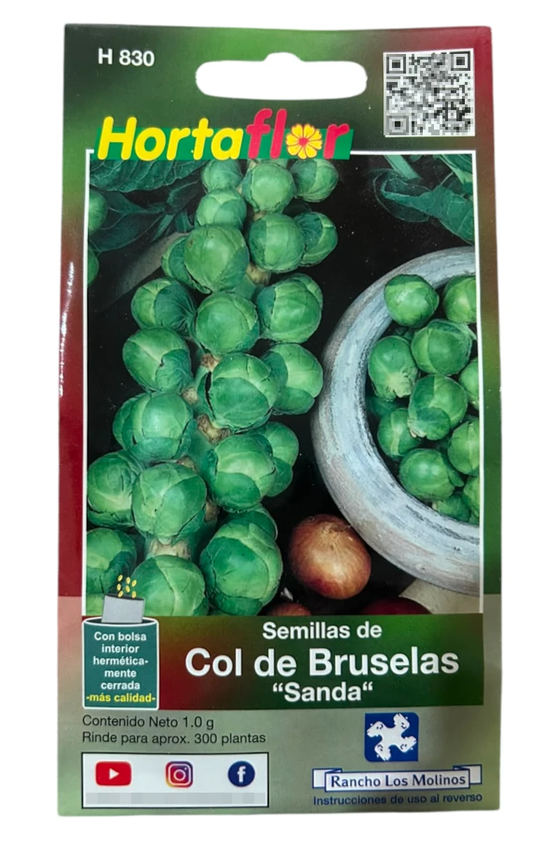 Foto de Semillas de Col de Bruselas HORTAFLOR