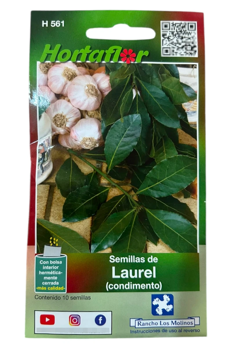 Foto de Semillas de Laurel HORTAFLOR