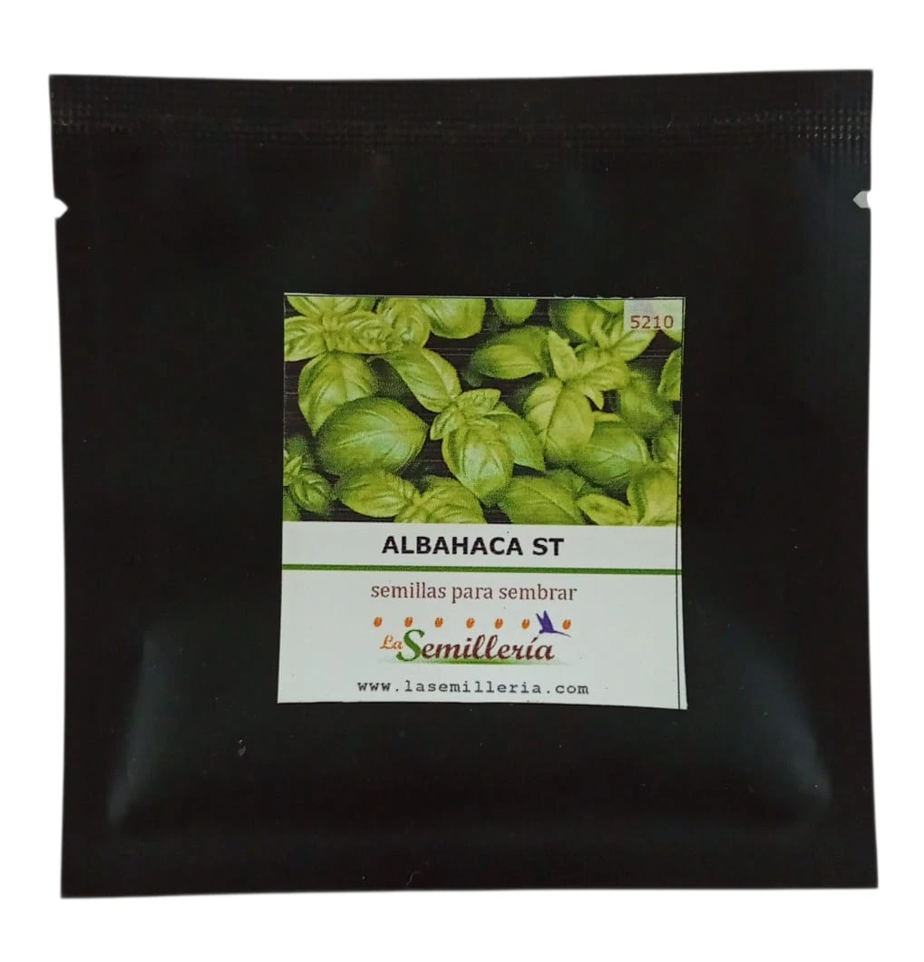 Foto de Sobre de Semillas de Albahaca Sin Tratamiento
