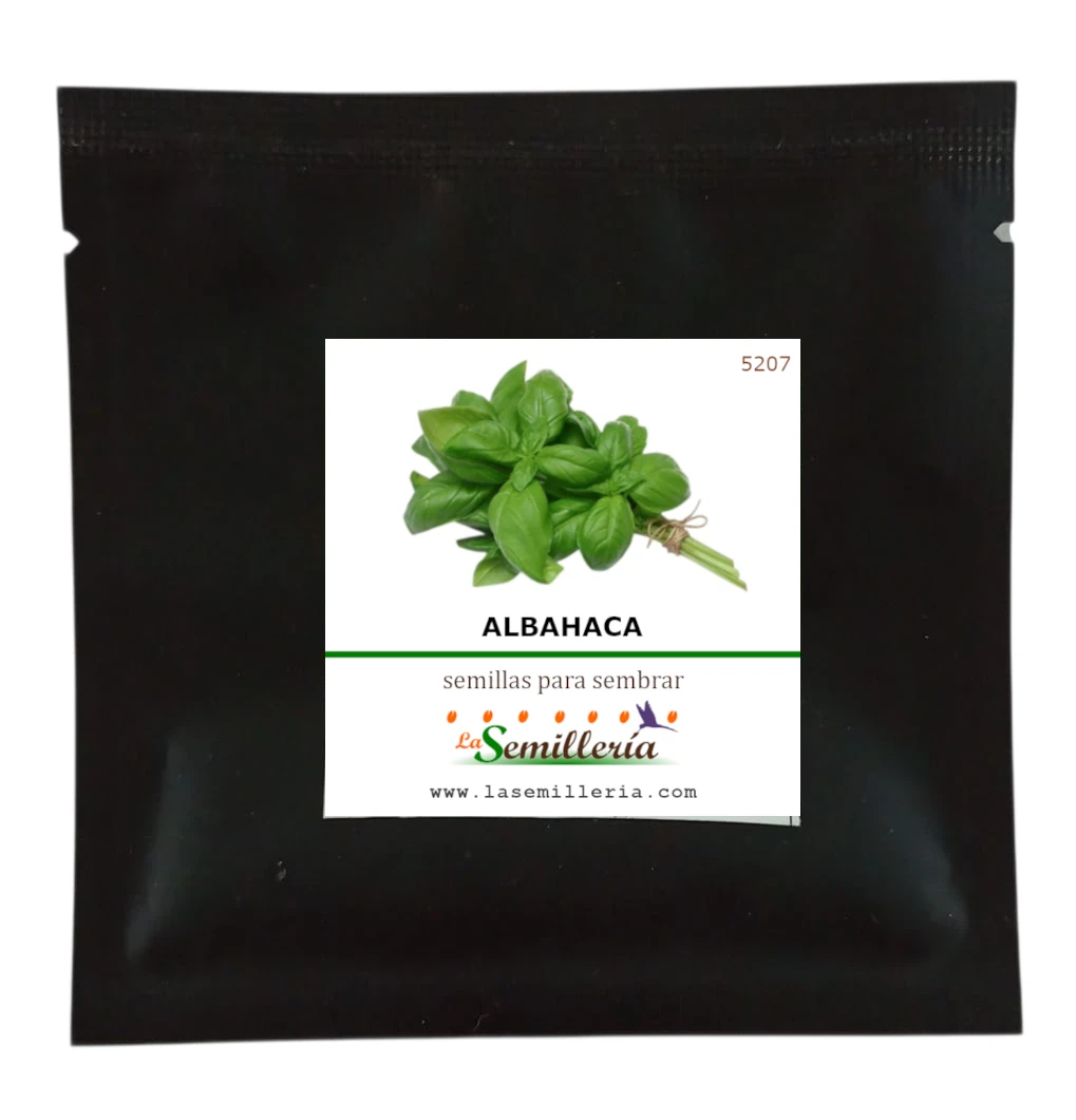 Foto de Sobre de Semillas de Albahaca