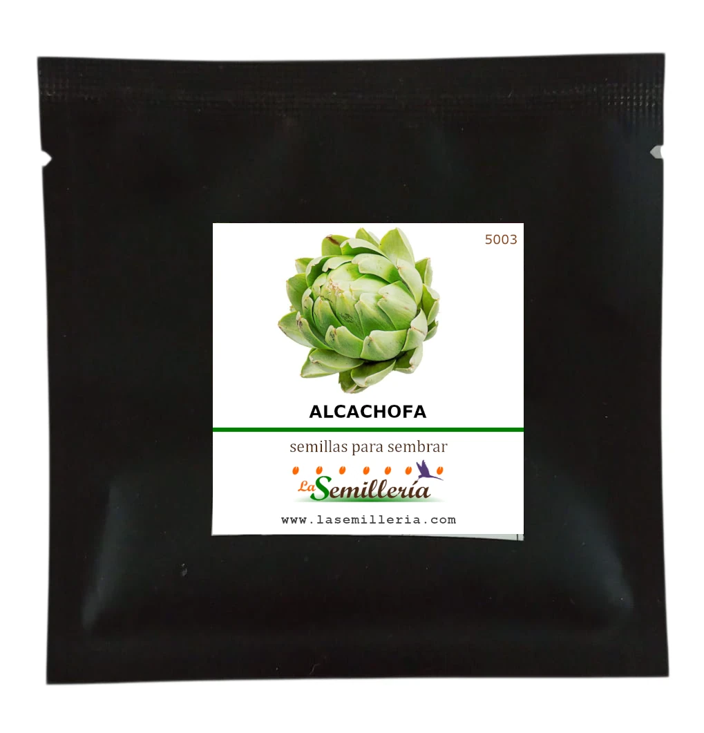 Foto de Sobre de Semillas de Alcachofa