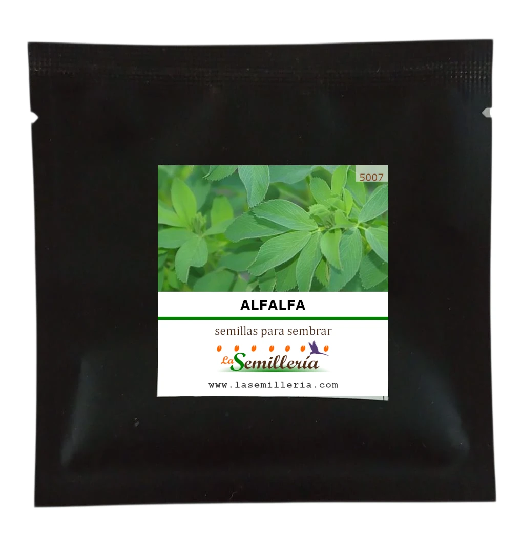 Foto de Sobre de Semillas de Alfalfa