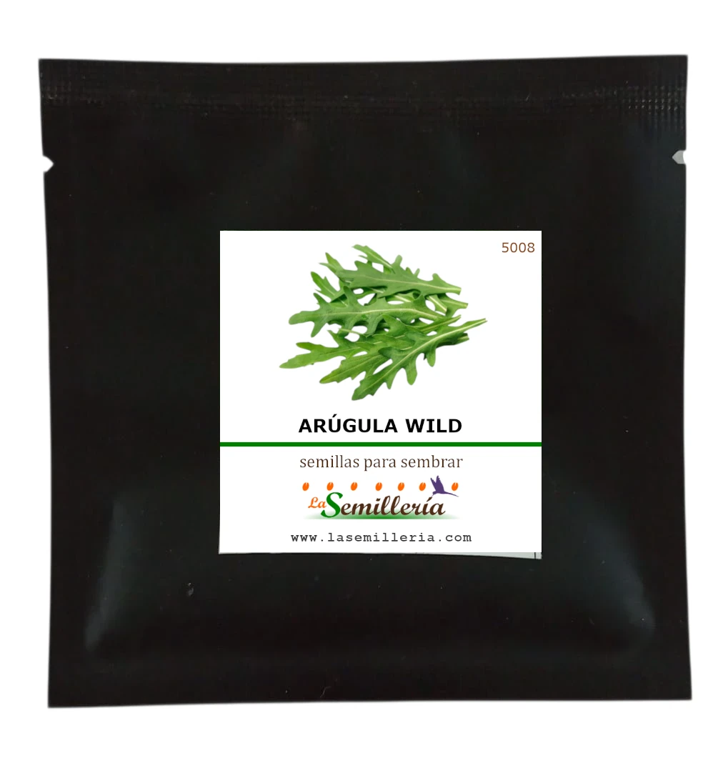 Foto de Sobre de Semillas de Arugula Salvaje
