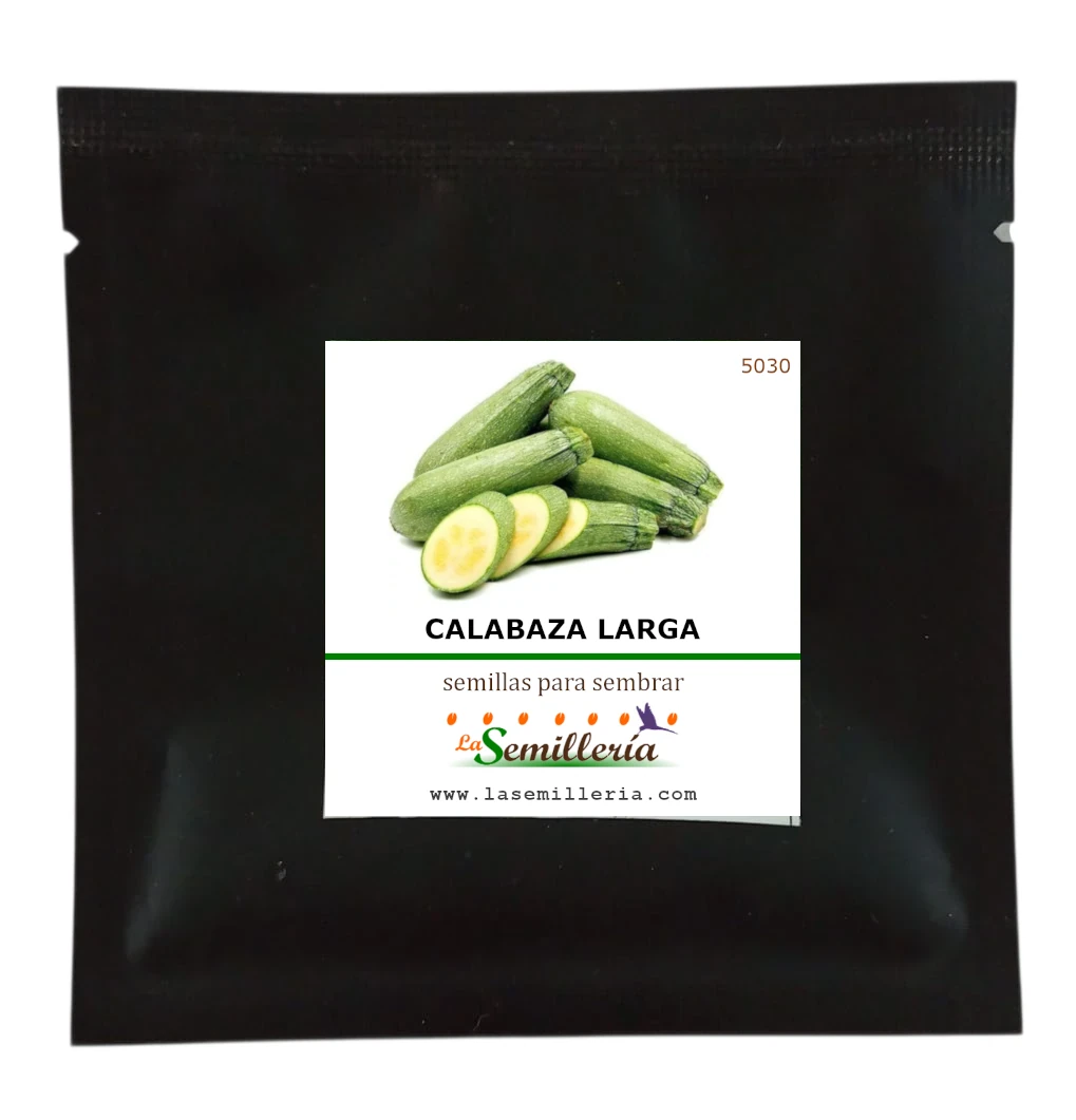 Foto de Sobre de Semillas de Calabaza Larga