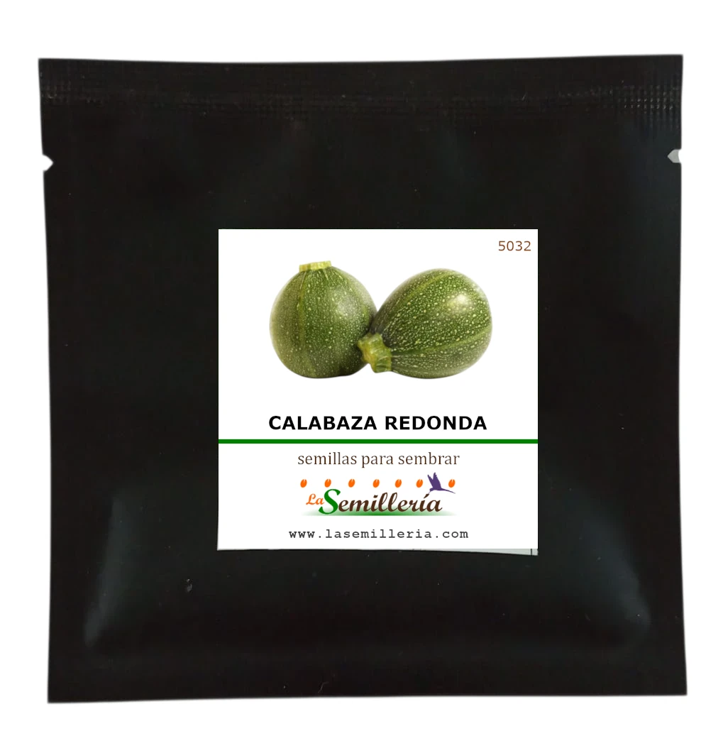 Foto de Sobre de Semillas de Calabaza Redonda