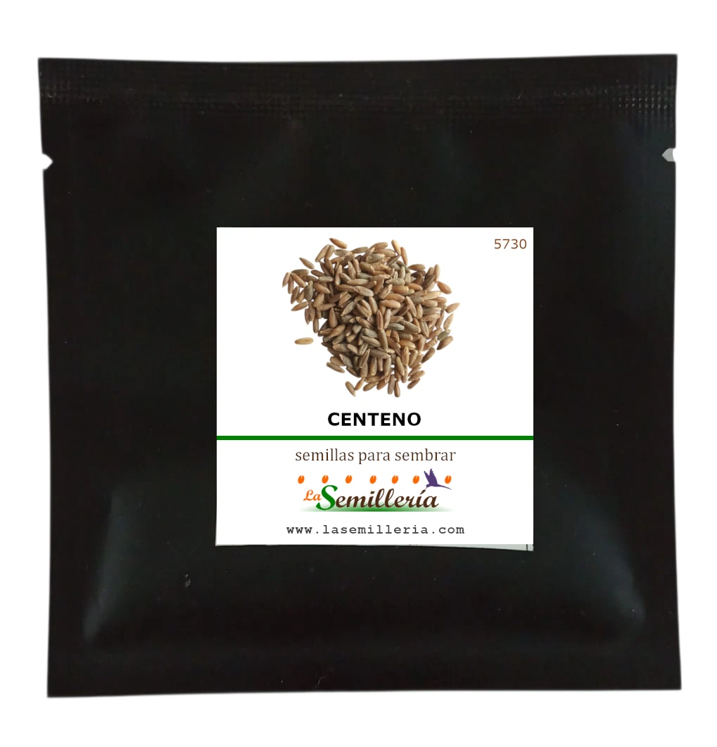 Foto de Sobre de Semillas de Centeno