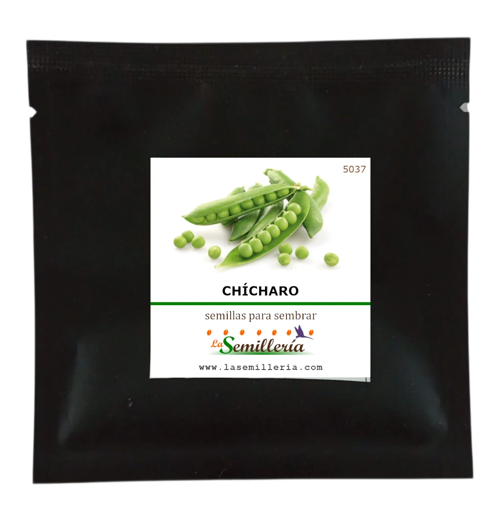 Foto de Sobre de Semillas de Chícharo Early Perfection