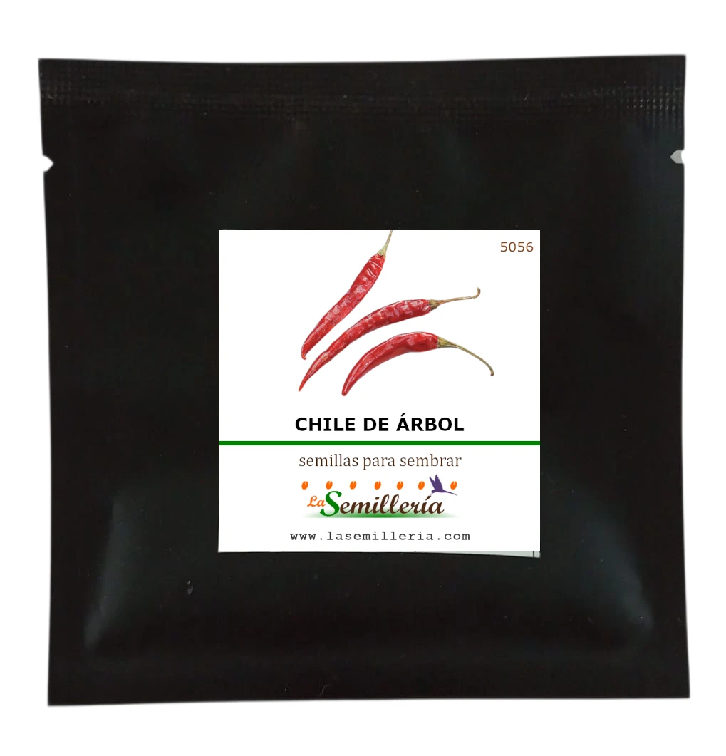 Foto de Sobre de Semillas de Chile de Árbol