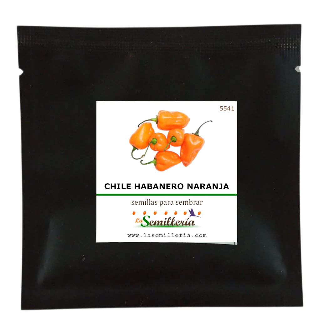 Foto de Sobre de Semillas de Chile Habanero Naranja