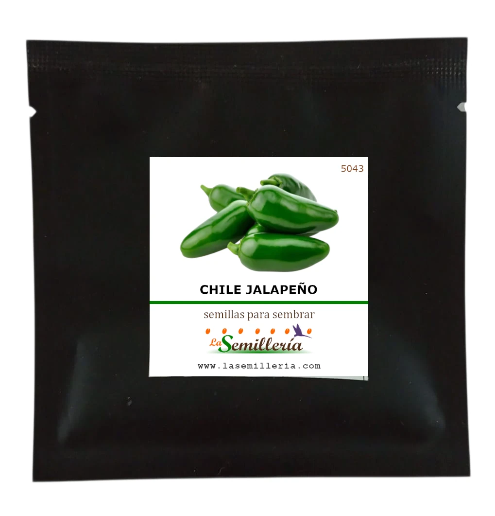 Foto de Sobre de Semillas de Chile Jalapeño