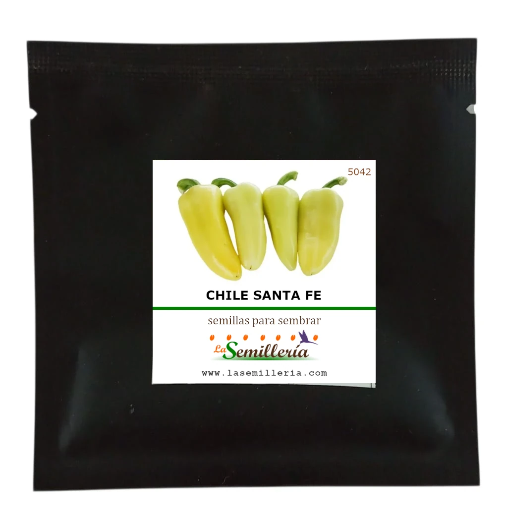 Foto de Sobre de Semillas de Chile Santa Fe