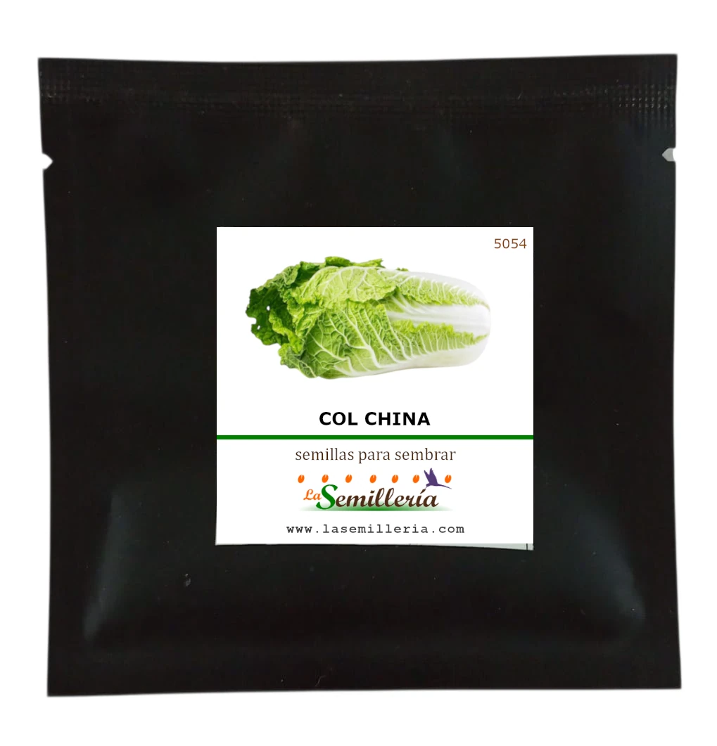 Foto de Sobre de Semillas de Col China