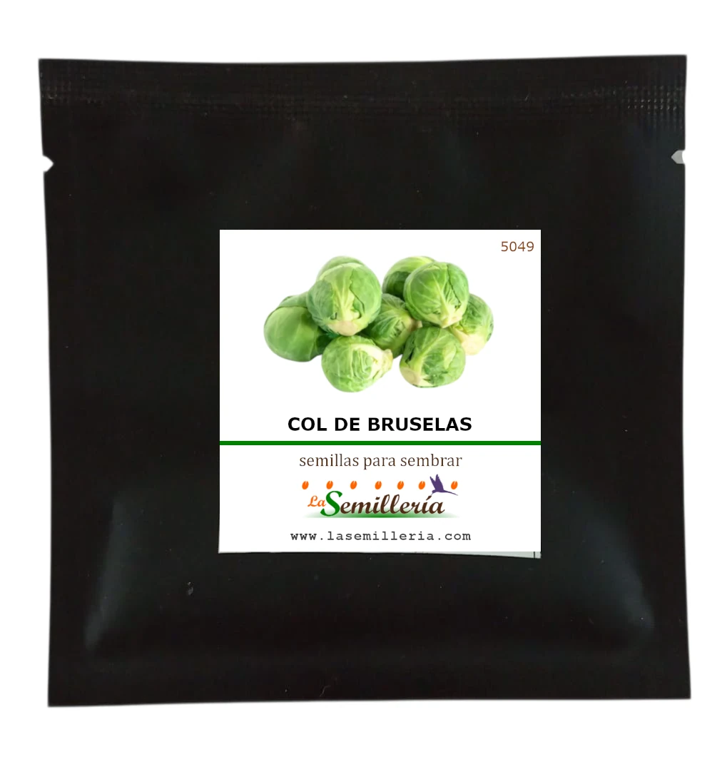 Foto de Sobre de Semillas de Col de Bruselas