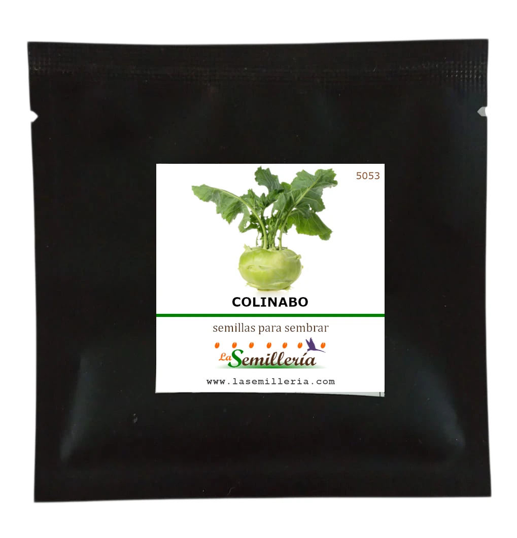 Foto de Sobre de Semillas de Colinabo