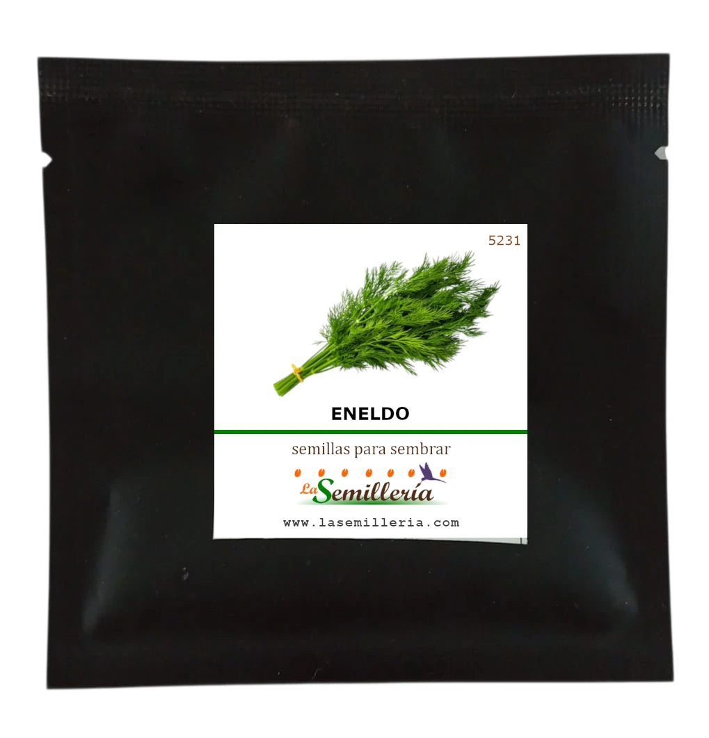 Foto de Sobre de Semillas de Eneldo