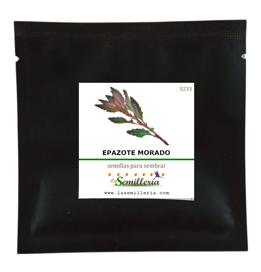 Foto de Sobre de Semillas de Epazote Morado