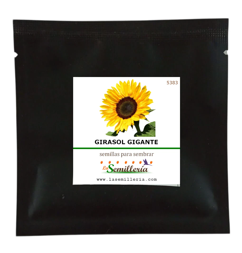 Foto de Sobre de Semillas de Girasol Gigante