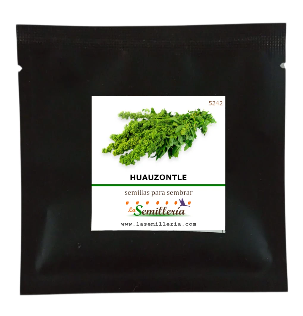 Foto de Sobre de Semillas de Huazontle