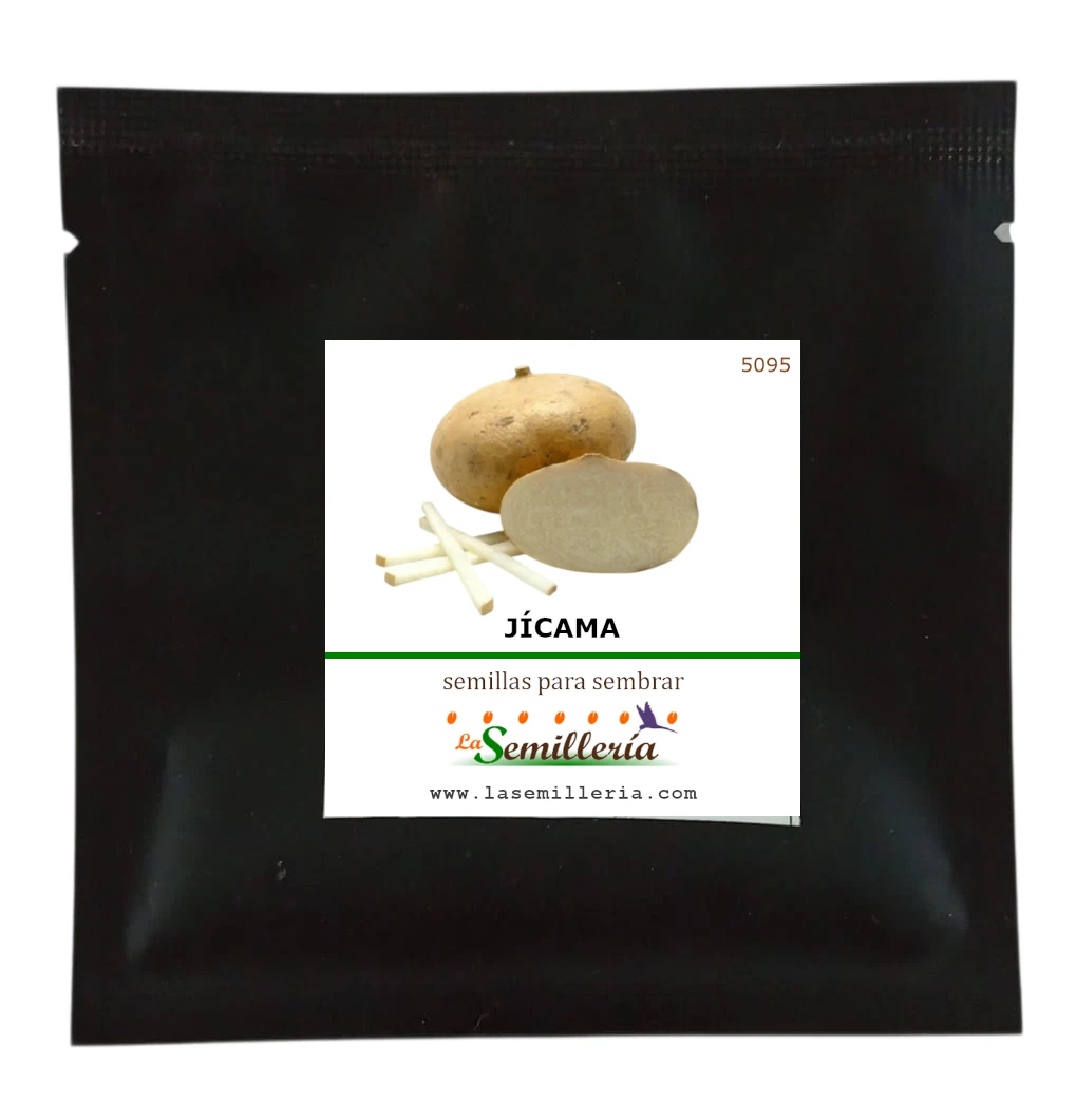 Foto de Sobre de Semillas de Jícama