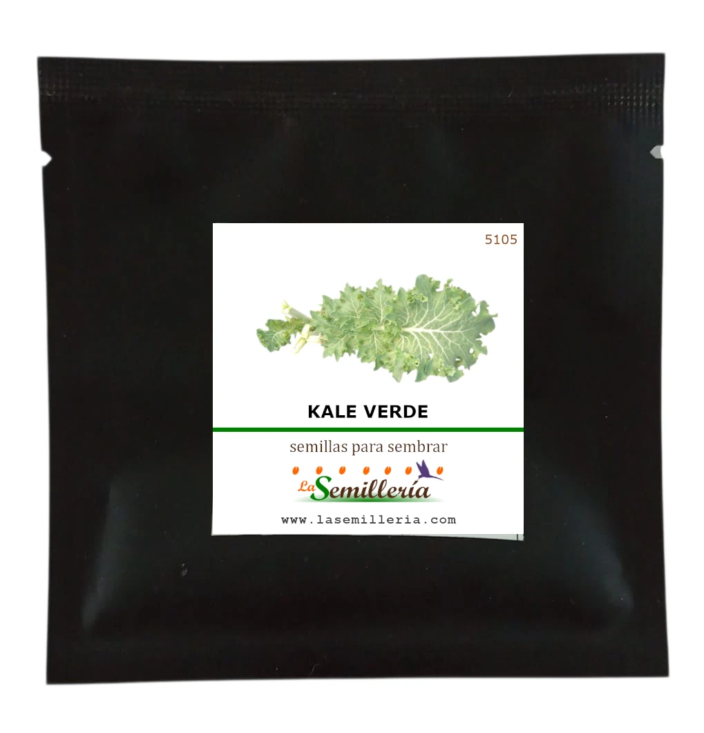 Foto de Sobre de Semillas de Kale