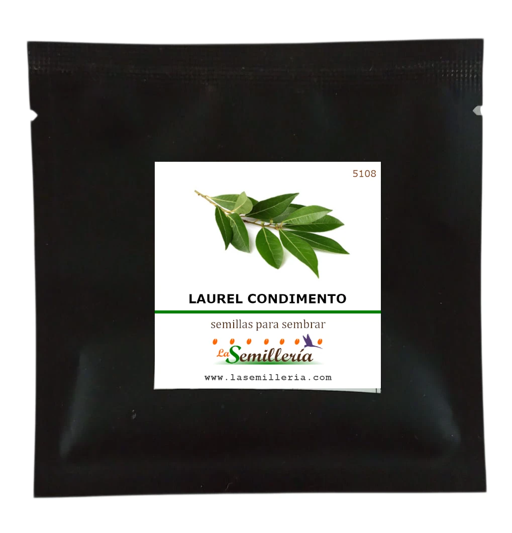 Foto de Sobre de Semillas de Laurel Condimento