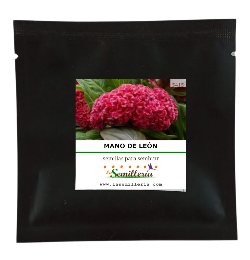 Foto de Sobre de Semillas de Mano de León