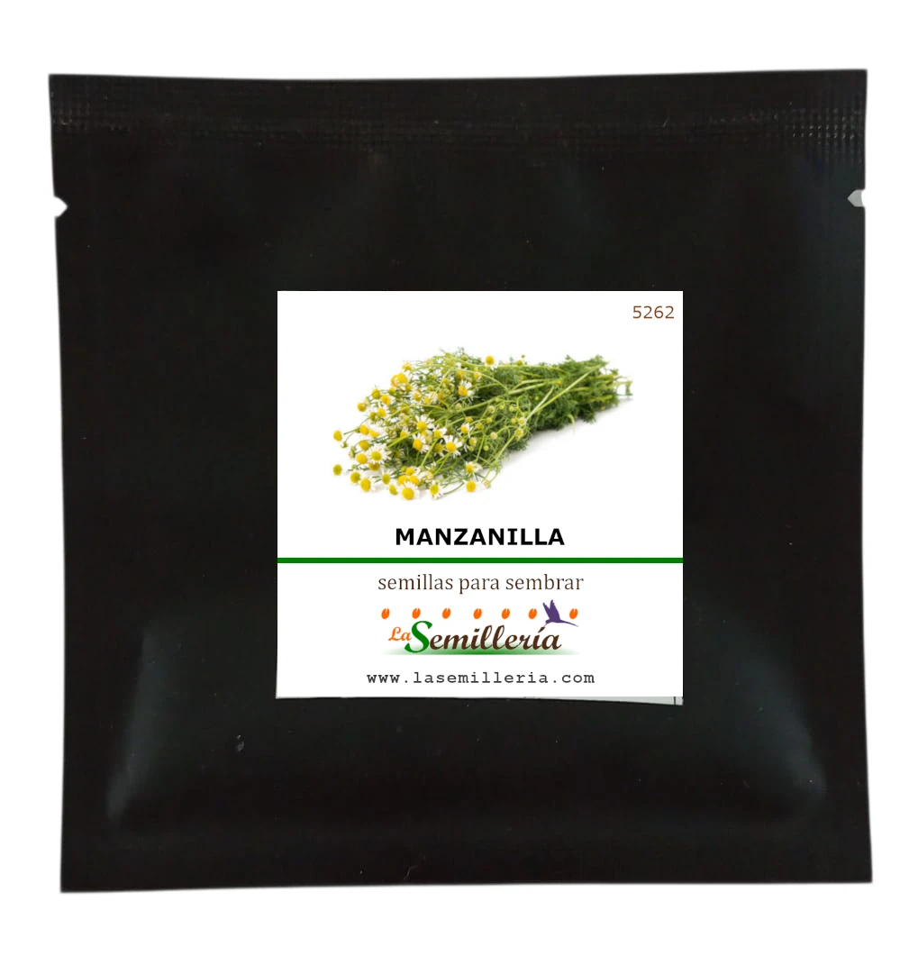 Foto de Sobre de Semillas de Manzanilla