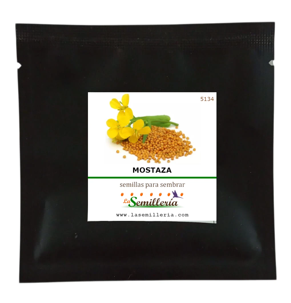 Foto de Sobre de Semillas de Mostaza