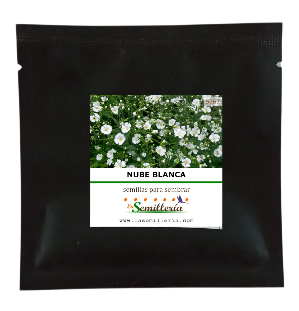 Foto de Sobre de Semillas de Nube Blanca