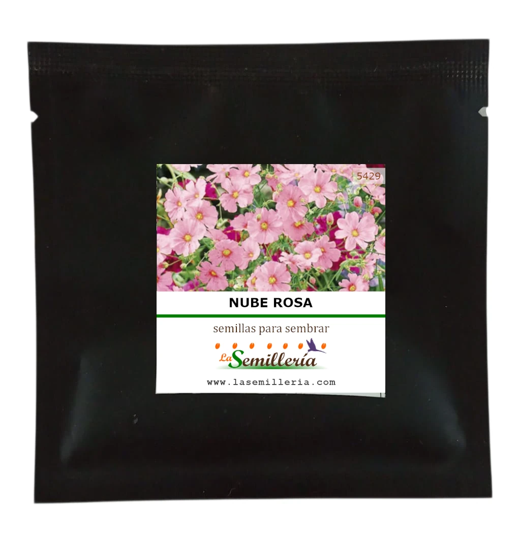 Foto de Sobre de Semillas de Nube Rosa