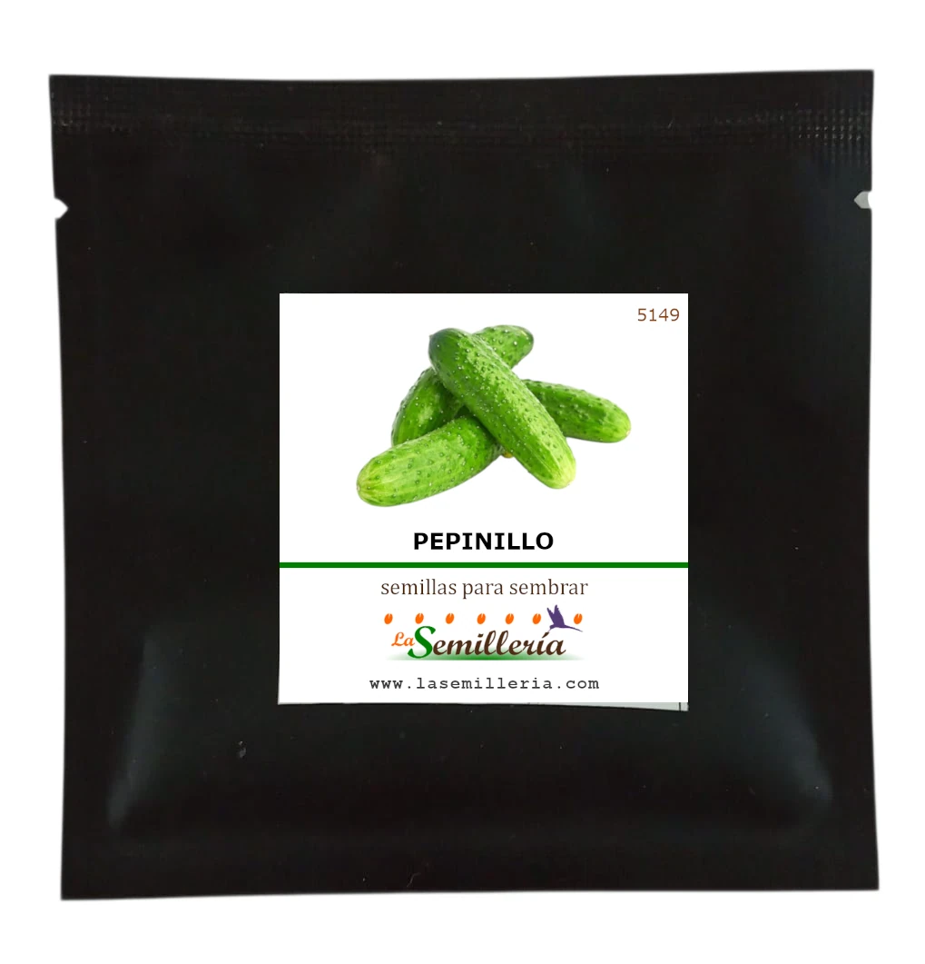 Foto de Sobre de Semillas de Pepinillo