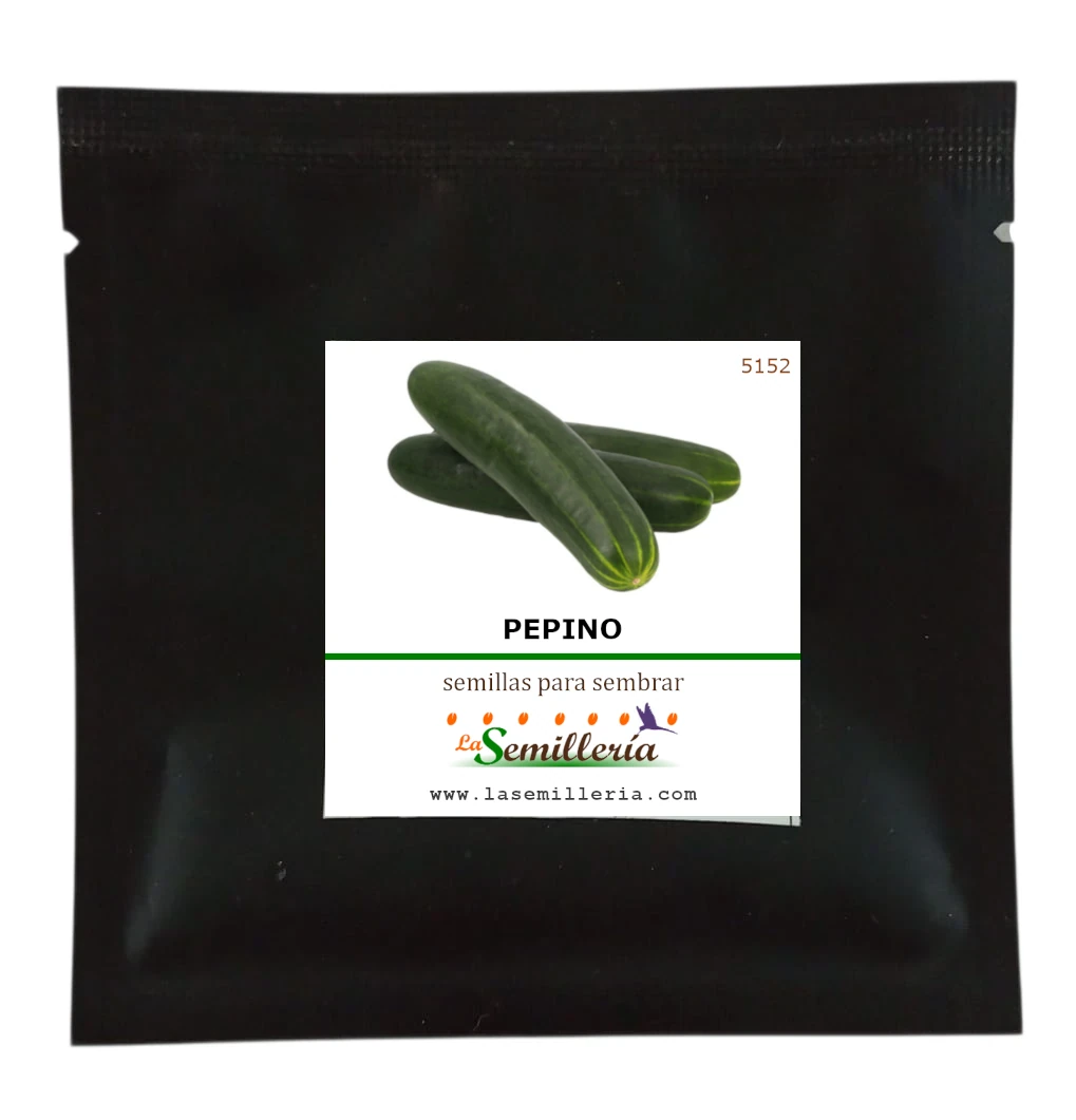 Foto de Sobre de Semillas de Pepino