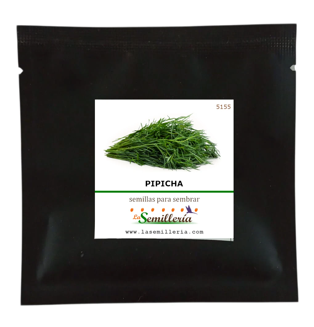 Foto de Sobre de Semillas de Pipicha