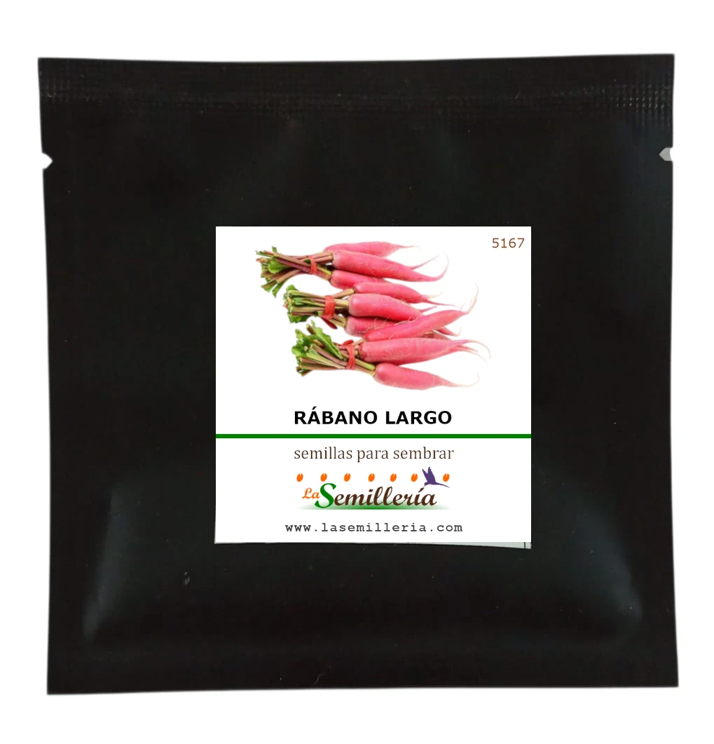 Foto de Sobre de Semillas de Rábano Largo