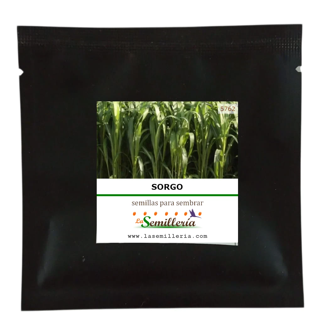 Foto de Sobre de Semillas de Sorgo