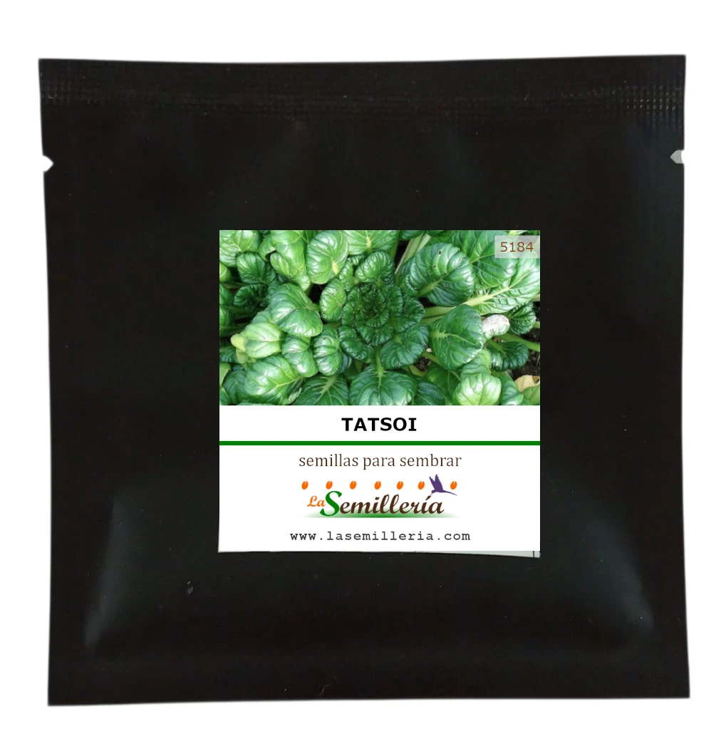 Foto de Sobre de Semillas de Tatsoi