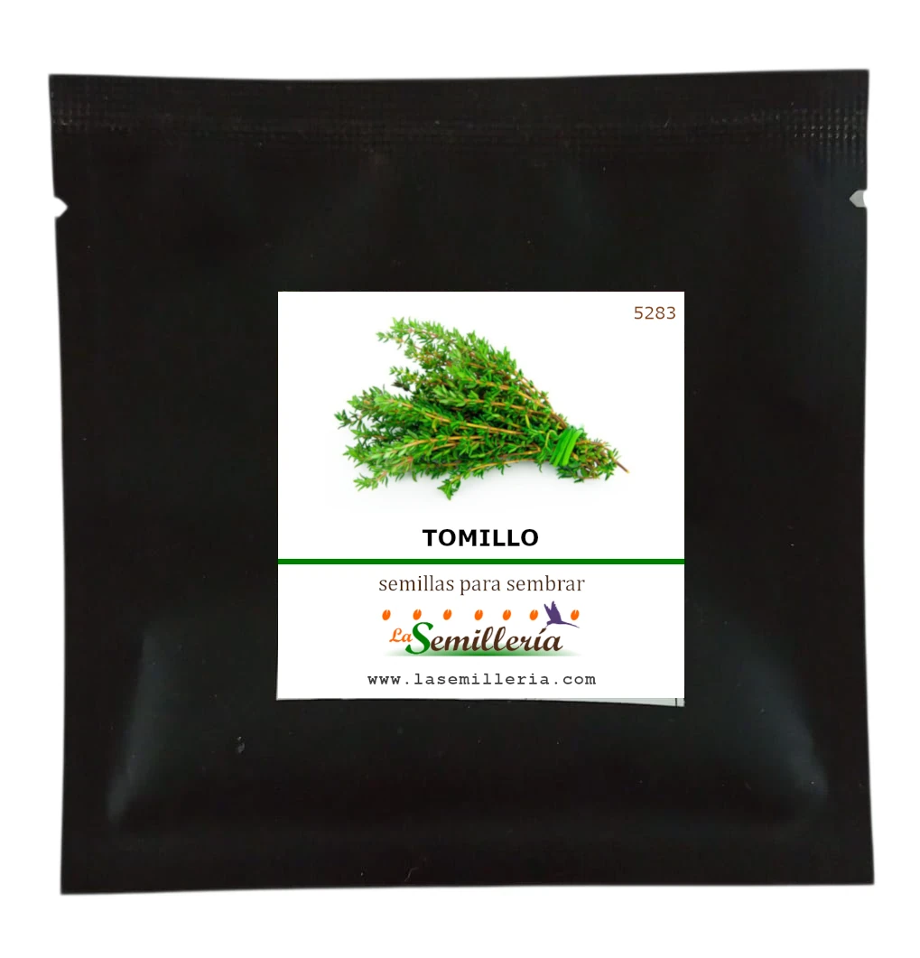 Foto de Sobre de Semillas de Tomillo