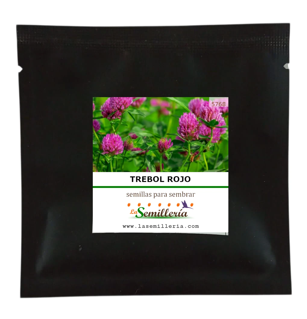 Foto de Sobre de Semillas de Trébol