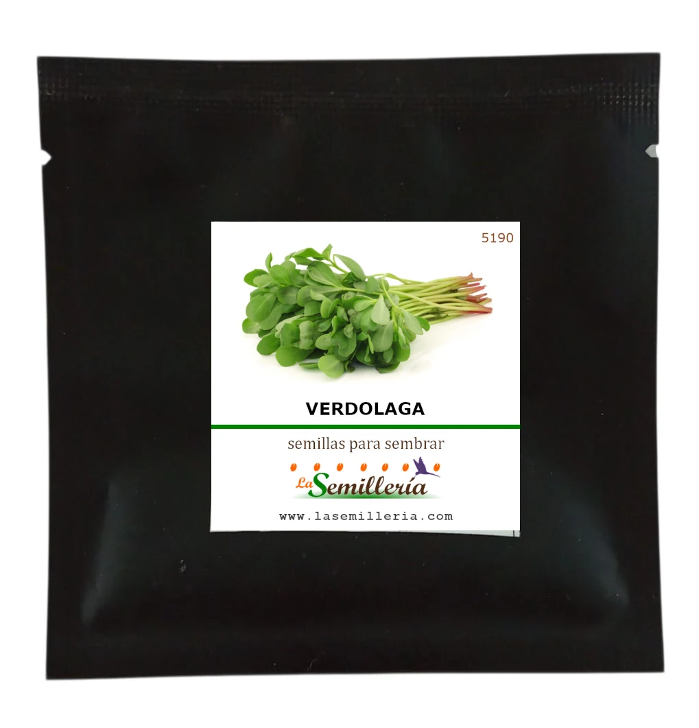 Foto de Sobre de Semillas de Verdolaga